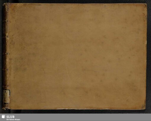 Artemisia - Mus.2477-F-76