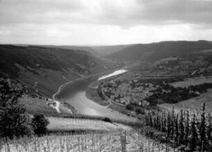 Mosel vor Ausbau bei Traben-Trarbach