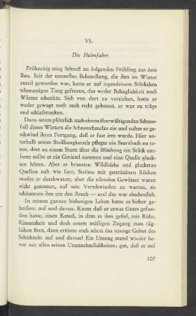 VI. Die Heimfahrt