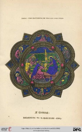 A morse of translucid enamel. Belonging to H. Magniac, Esq.