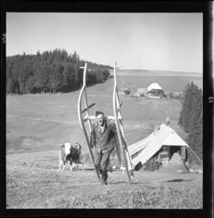 Heuernte mit dem Hörnerschlitten in Waldau