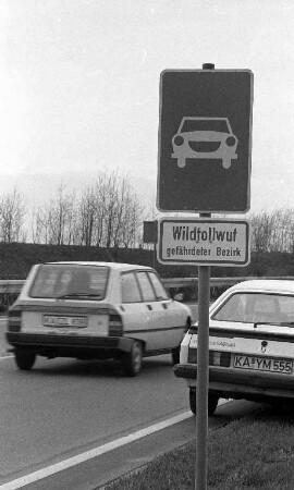 Hinweisschild auf Wildtollwut an der Bundesstraße 10 zwischen Grötzingen und Durlach