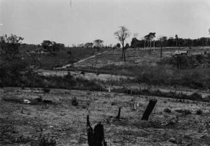 Gerodetes Land : Eine gerodete Landschaft im Vordergrund, im Hintergrund einzelne Bäume, Grasland und Wald auf den Hängen des Hügels.