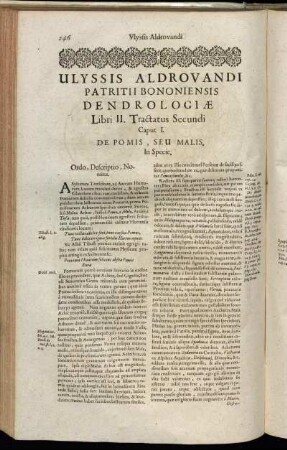 Libri II. Tractatus Secundi.