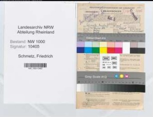Entnazifizierung Friedrich Schmetz, geb. 31.01.1894 (Arzt)