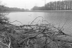 Planungen zur Ausweisung des Kleinen Bodensees als Naturschutzgebiet