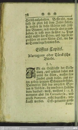 Eilfftes Capitel. Martagons oder Türckische Bünde