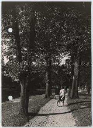 Parkweg, Herbst
