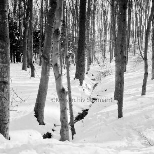 Kneeden: in der Mitte zugeschneiter Bach: rechts und links Baumstämme: Winter