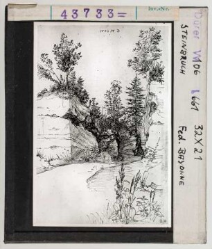 Albrecht Dürer: Steinbruch. Feder. Bayonne