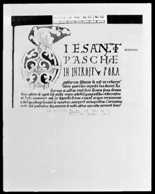 Amalarius Metensis, Liber officialis — Initiale D (ie), Folio 36 recto
