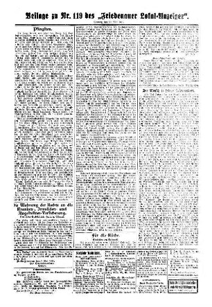 Beilage zu Nr. 119