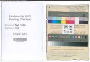 Entnazifizierung Cilly Stelzer , geb. 23.10.1913 (Lehrerin)