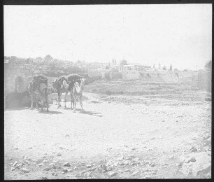 Jerusalem vn SO (bei silwan)