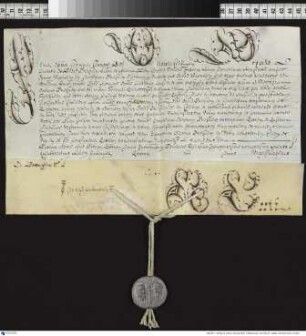 Aussteller: Pius VI. Empfänger: Diözesanen von Gnesen. Betreff: Erhebung des Ignacy Blazej Franciszek Krasicki [auch: Graf Ignatius Krasicki], Bischof von Ermland, zum Erzbischof von Gnesen