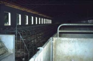 Fotografie: Stallsystem, Sauenhaltung