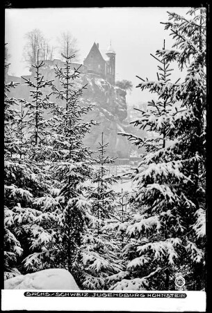 Sächsische Schweiz, Blick auf die Jugendburg Hohnstein im Winter