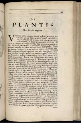 De Plantis