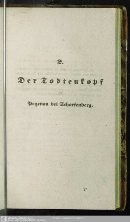 2. Der Todtenkopf in Pegenau bei Scharfenberg