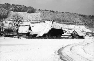 Gutach: Vogtsbauernhof und Nachbarhäuser