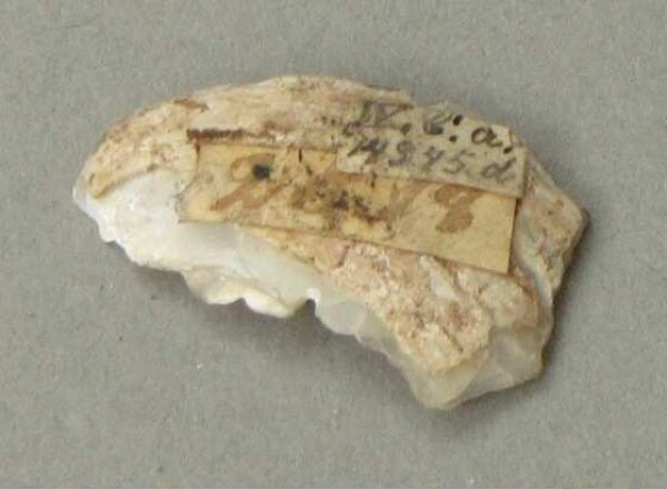 coquille de moule de rivière (fragment)