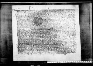 Der Hofrichter zu Rottweil gebietet dem Heinrich Besenvelde, Urteilsprecher des Hofgerichts, daß er den Grafen Eitelfritz um 2000 Mark Goldes auf die Güter des Grafen Fritz d. Ä. genannt Ötinger anleite.