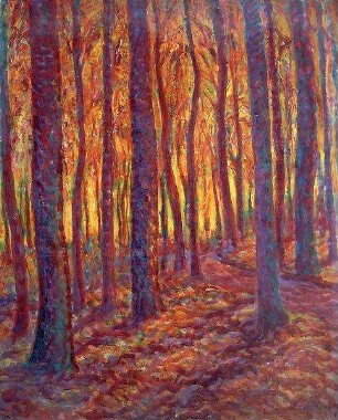 Herbstlicher Wald