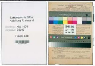 Entnazifizierung Leo Haupt , geb. 05.05.1889 (Arbeiter)