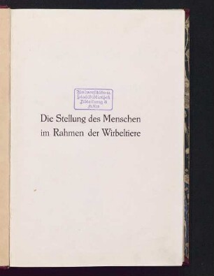Die Stellung des Menschen im Rahmen der Wirbeltiere