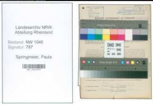 Entnazifizierung Paula Springmeier , geb. 10.04.1908 (Kontoristin)