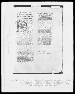 Touronische Bibel — Initiale D (avid Filius), Folio 211 recto