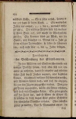 Fortsetzung der Beschreibung des Elephanten