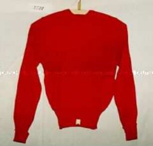 Pullover (für Damen)