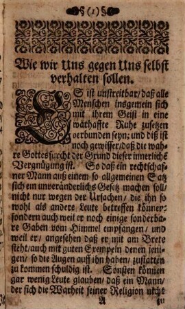 Der vollkommene Staats-Minister
