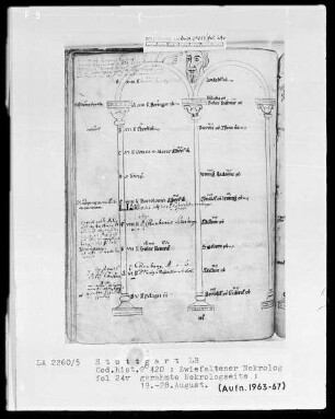 Necrologium Zwiefaltense — Männerkopf, Folio 24verso