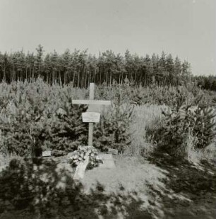 Gedenkstätte mit Holzkreuz am Ort eines Massengrabes des Internierungslagers Jamlitz (1945-1947) in einem Waldgebiet bei Jamlitz