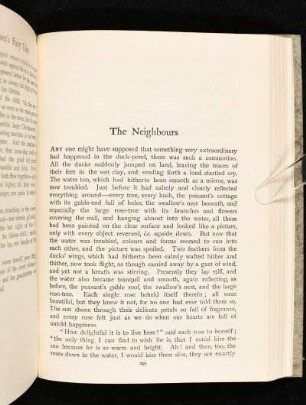 The Neighbours