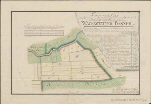 Geometrischer Plan eines Districts des dem Hochfürstlich-MargGraevlich-Baaden-Baadischen Hauß zugehöhrigen Wagenstatter Bannes