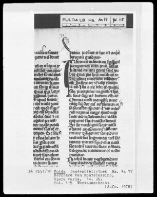 Bernhard von Montecassino, Opera varia — Gesichtsprofil, Folio 115 recto