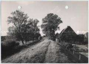 Schleswig-Holstein, Häuser am Deich