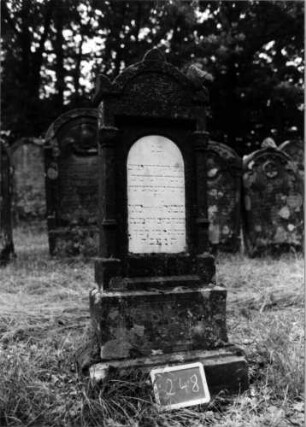 Grabstein 248 [Nir S. 159 Nr. 15.14]