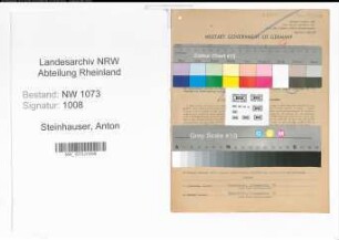 Entnazifizierung Anton Steinhauser , geb. 06.08.1901 (Kaufmaennischer Angestellter)