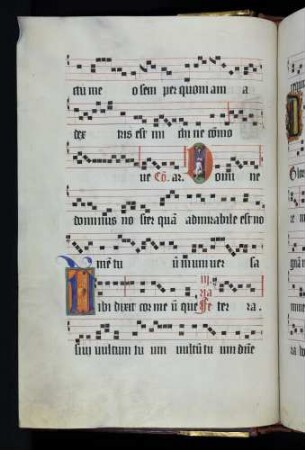 Cadellen: sitzender Hund; Herz Jesu