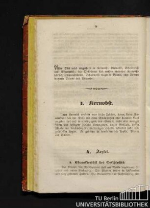 I. Kernobst.