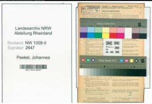 Entnazifizierung Johannes Peekel , geb. 01.11.1900 (Arbeiter)