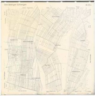 Landschaftsaufbauplanung Bellingen: Gemarkung Schliengen 1:1500