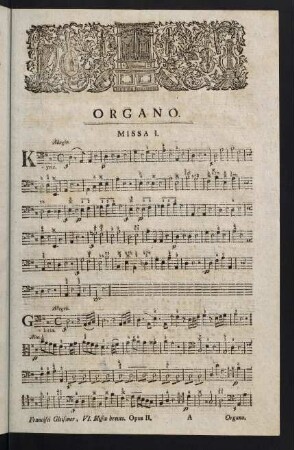 1-36, Organo