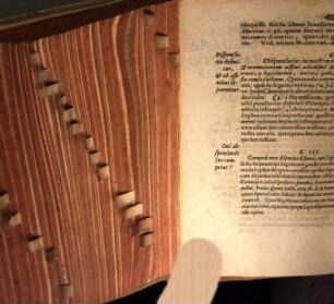 Diss. inaug. de jure dispensandi