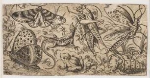 Drei Schmetterlinge, eine Schnecke, ein Frosch, eine Eidechse und eine Heuschrecke