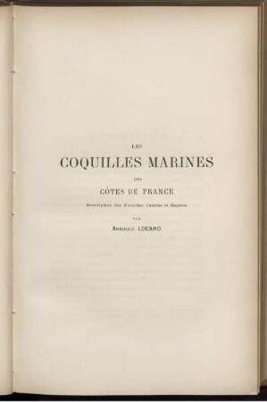 Les Coquilles Marines